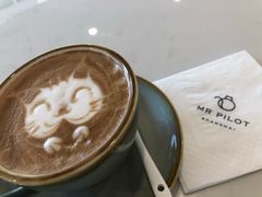 -飞行喵MR PILOT|猫舍·猫咖(静安大融城店)