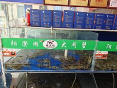 -阳澄湖大闸蟹·琼灵阁牌品牌连锁(吴中总店)
