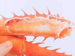 -金海湾海鲜总店