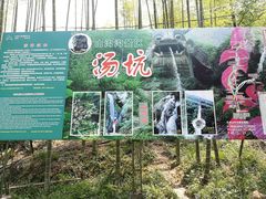 -山沟沟景区
