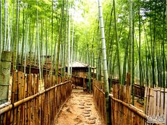 -众神白水涧景区