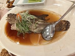 -顺风海鲜港(金玉兰店)