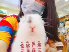 -宠物兔专门店(天丰利市场店)