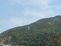 -南丫岛