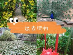 -中国科学院西双版纳热带植物园