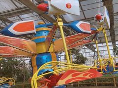 -南宫五洲植物乐园