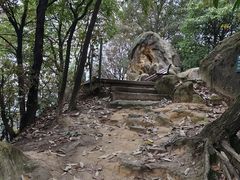 -南山植物园