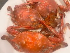 -日月昇渔家菜·海肠捞饭·大连海鲜(星海公园店)