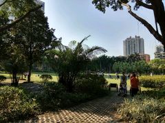 -东风公园