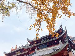 -上海东林寺(金山区)