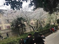 -武汉大学-樱园
