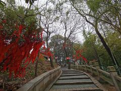 -灵岩山风景区