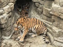 -大连森林动物园