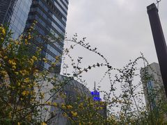 -听香·678茶铺(猛追湾店)