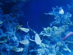 -临沂极地海洋王国