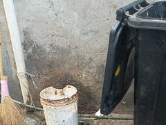 -守英猪脏粉(仓桥街店)