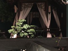 -佬麻雀·剁椒鱼头(京基KK One店)