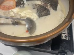-全乐鱼馆·淳牌有机鱼直营店