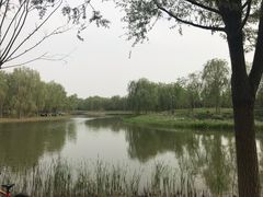 -东郊湿地公园