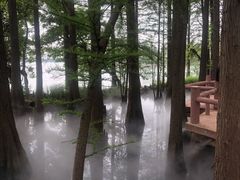 -东湖落雁景区