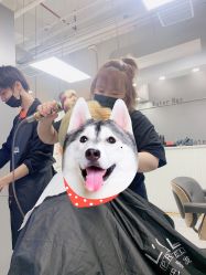 -CUT CUT Hair Salon