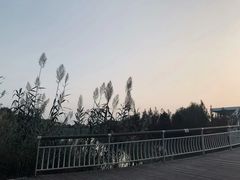 -同里国家湿地公园