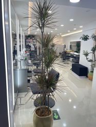 -HaLo hair studio