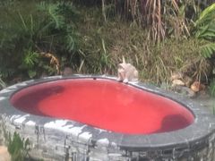 -汇雅温泉