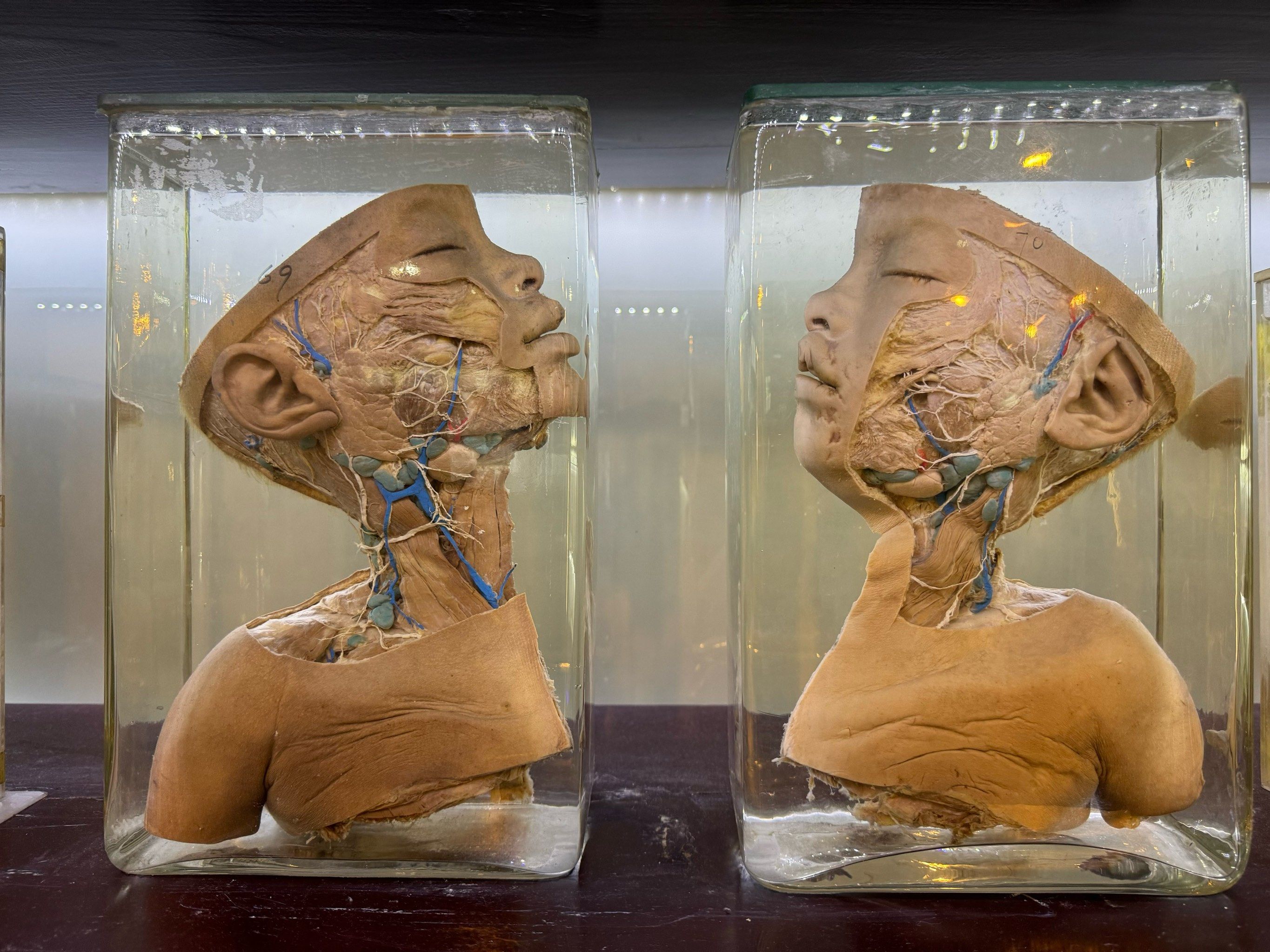 大学医学院
人体科学馆
另外一号楼老楼还有病理标本馆
学习!