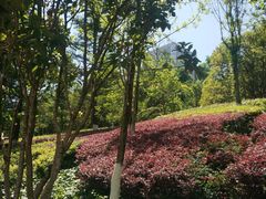 -洛龙公园