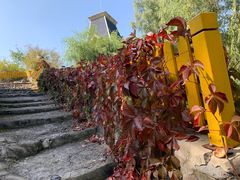 -仙居谷风景区
