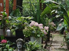 -谷咖啡·鲜花绿植花园餐厅