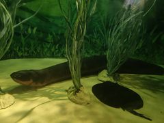 -上海海洋水族馆