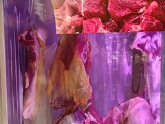 -肖记公安牛肉鱼杂馆·省级非物质文化遗产(三角路直营店)