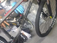 -道路口单车爱瓦士dahon大行