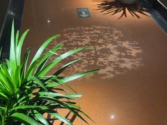 -金狮麟·新豫菜(杏石口路店)