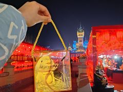 -青岛方特梦幻王国