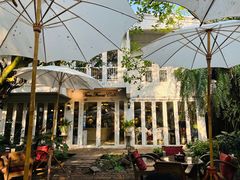 -Fern Forest Cafe
