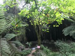 -峨眉山报国寺