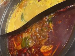 -朱光玉火锅馆(正弘城店)