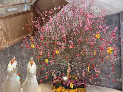 -金满楼(天河中路店)