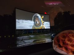 -枫花园汽车电影院(朝阳公园店)