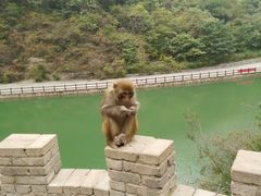 -山西通天峡景区