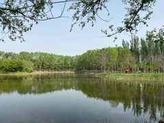 -东郊湿地公园