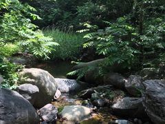 -云岫谷自然风景区