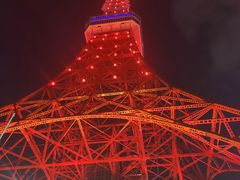 -东京塔海贼王主题公园