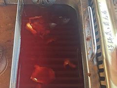 -蜀九鼎毛肚火锅(惠安店)
