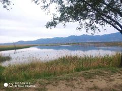 -野鸭湖国家湿地公园