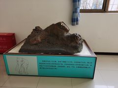 -周口店北京人遗址公园
