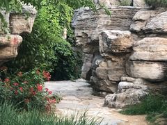 -燕郊植物园